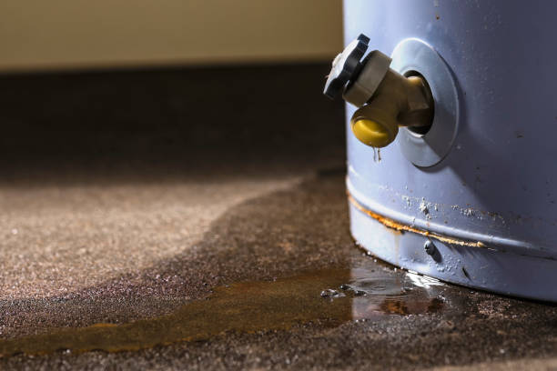 Best Professional water damage repair  in Marietta Alderwood, WA