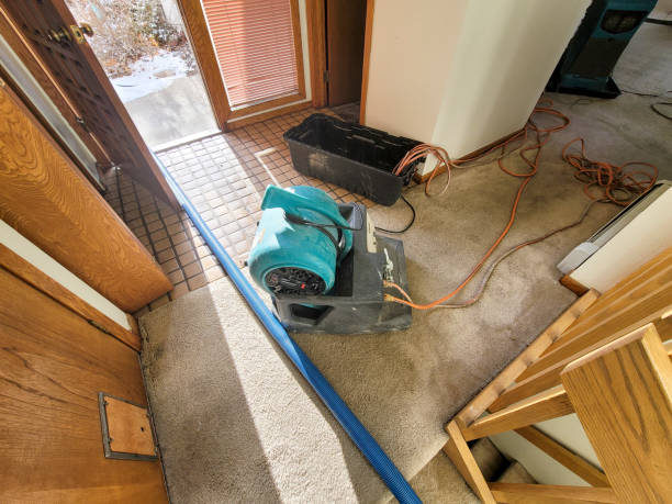 Best Carpet water damage restoration  in Marietta Alderwood, WA