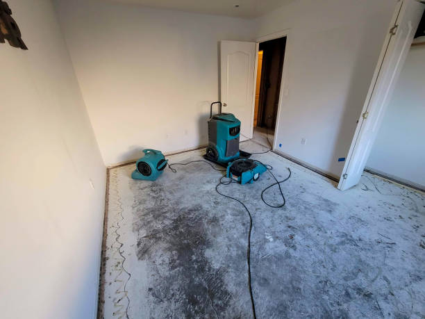 Best Flood damage cleanup  in Marietta Alderwood, WA