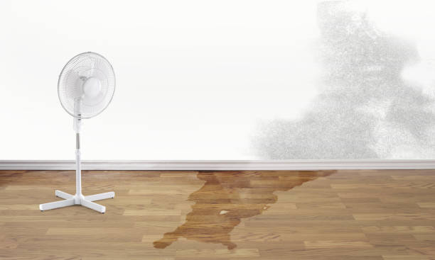 Best Water damage restoration near me  in Marietta Alderwood, WA