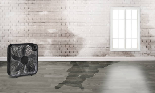 Best Sewage cleanup and water damage restoration  in Marietta Alderwood, WA