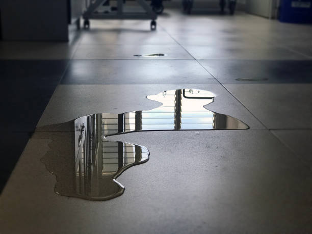 24/7 water damage repair in WA