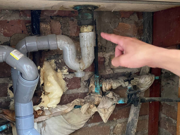 Best Mold removal after water damage  in Marietta Alderwood, WA