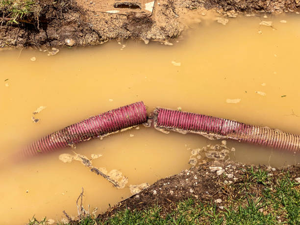 Best Flood restoration services  in Marietta Alderwood, WA